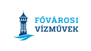 FVM